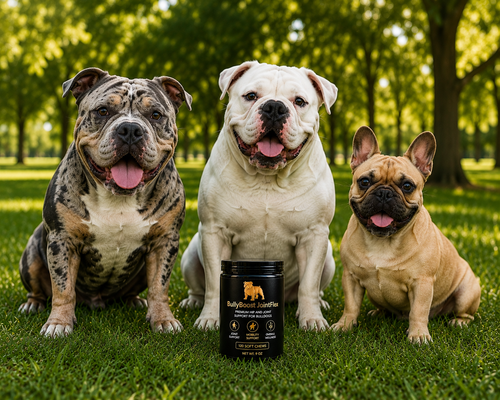 BullyBoost JointFlex — Hip & Joint Soft Chews for Bulldogs | 120 Chews
