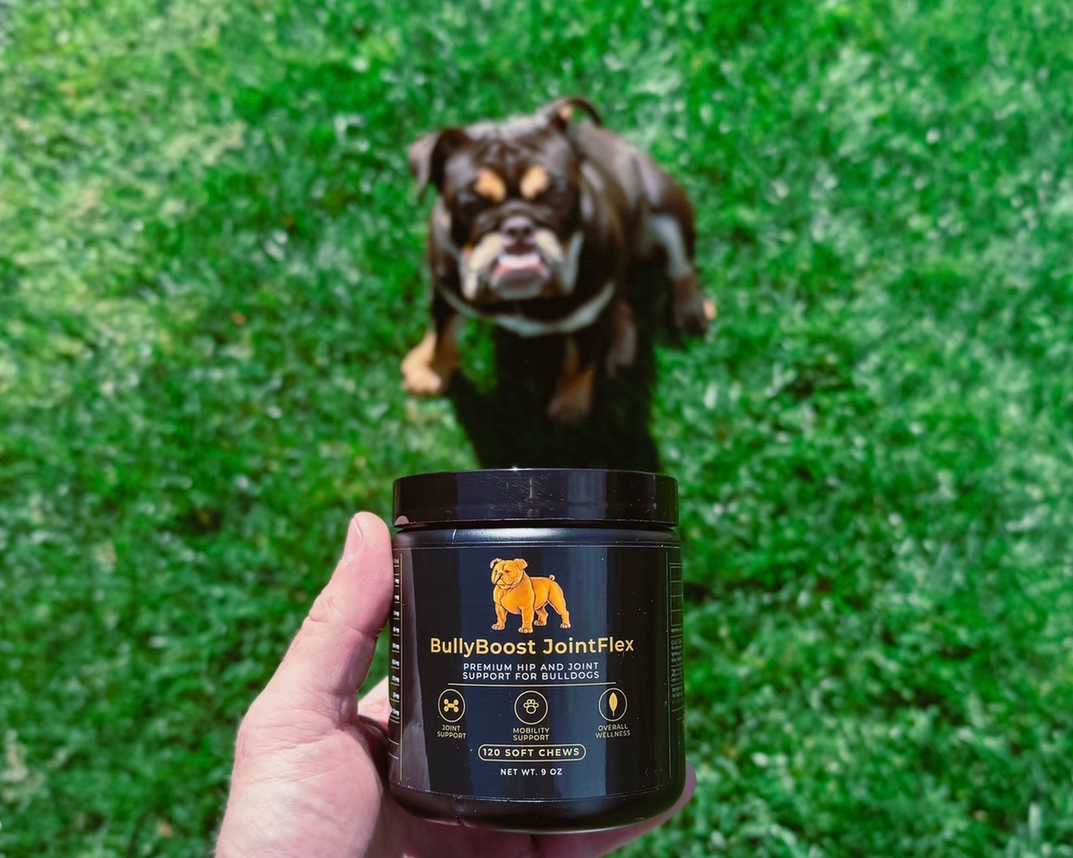 Bulldog on the grass behind a jar of BullyBoost JointFlex hip and joint soft chews